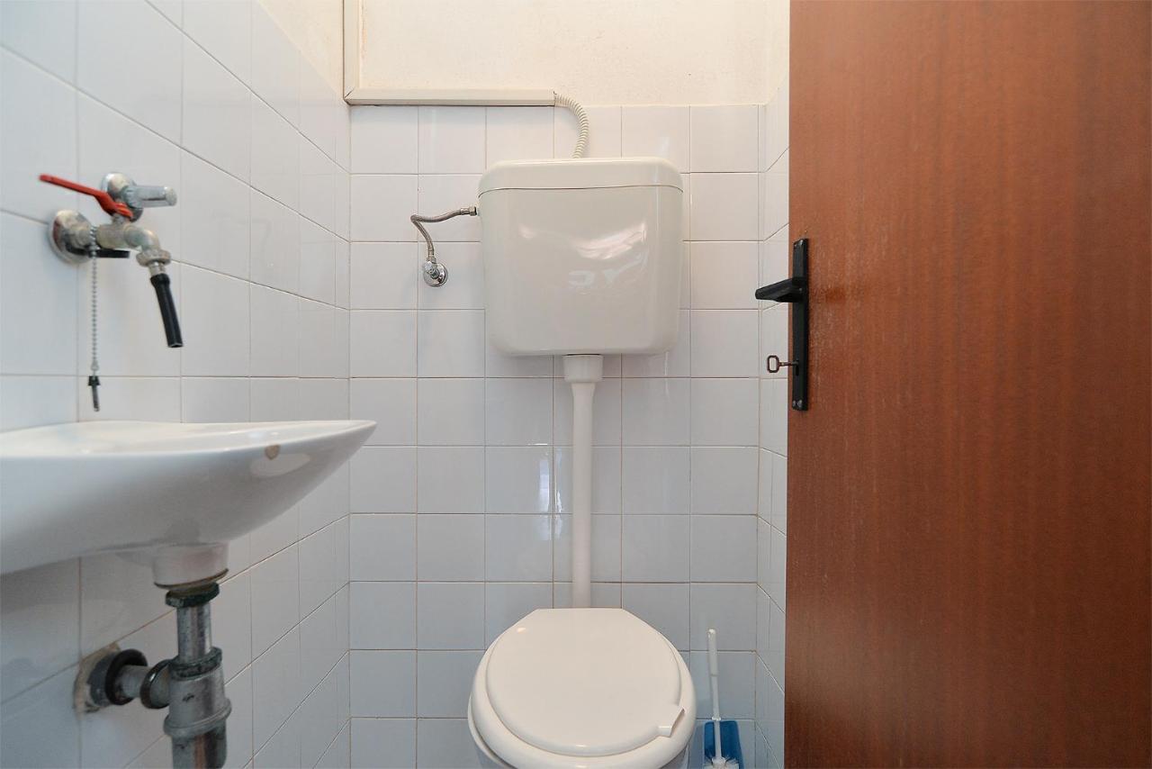 Vanga 533 Pula