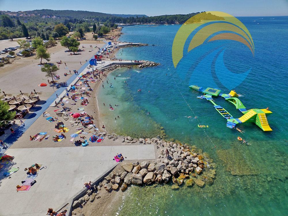 Vanga 533 Pula